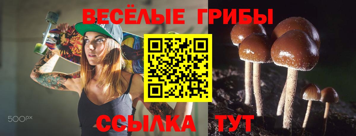 Гусь-Хрустальный  Псилоцибиновые грибы GOLDEN TEACHER  продажа наркотиков  Псилоцибиновые грибы GOLDEN TEACHER  Вход с VPN 